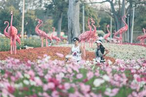 BIB: 
                            <button type="button" onclick="openModal(27343956)" class="btn btn-primary btn-sm float-right btn-popup" data-toggle="modal" data-target=".modal-high-quality">
                        <i class="fas fa-shopping-cart"></i> Add to Cart
                    </button>
                                            <button type="button" onclick="isThisMe(27343956, true)" class="btn btn-success btn-sm float-right btn-popup btn-isme hidden" data-toggle="tooltip" data-placement="bottom" title="นี่คือรูปของคุณใช่ไหม คลิกที่นี่เพื่อเอาเข้าอัลบั้ม">
                        <i class="fas fa-plus"></i> Add to album
                    </button>
                    <button type="button" onclick="isThisMe(27343956, false)" class="btn btn-warning btn-sm float-right btn-popup btn-isnotme hidden">
                        <i class="fas fa-ban"></i> Remove from album
                    </button>